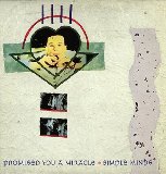 Buy Promised you a miracle